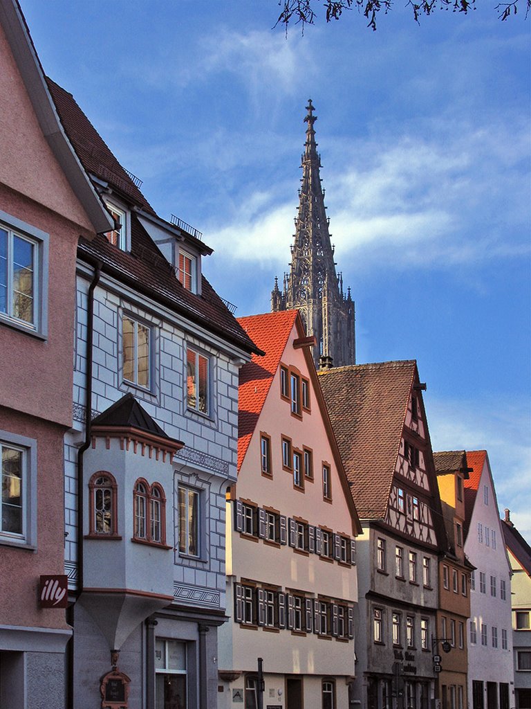 Münster vom Kornhaus