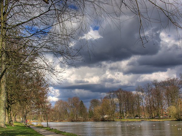 Donau Ufer
