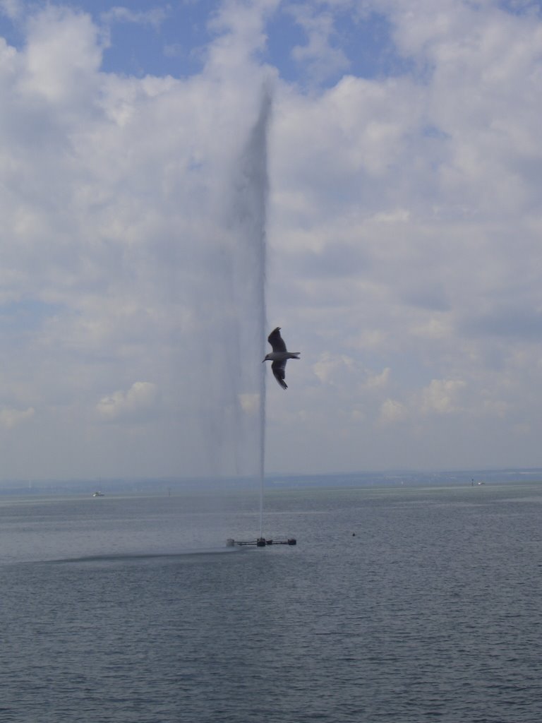 Bodensee bei Friedrichshafen
