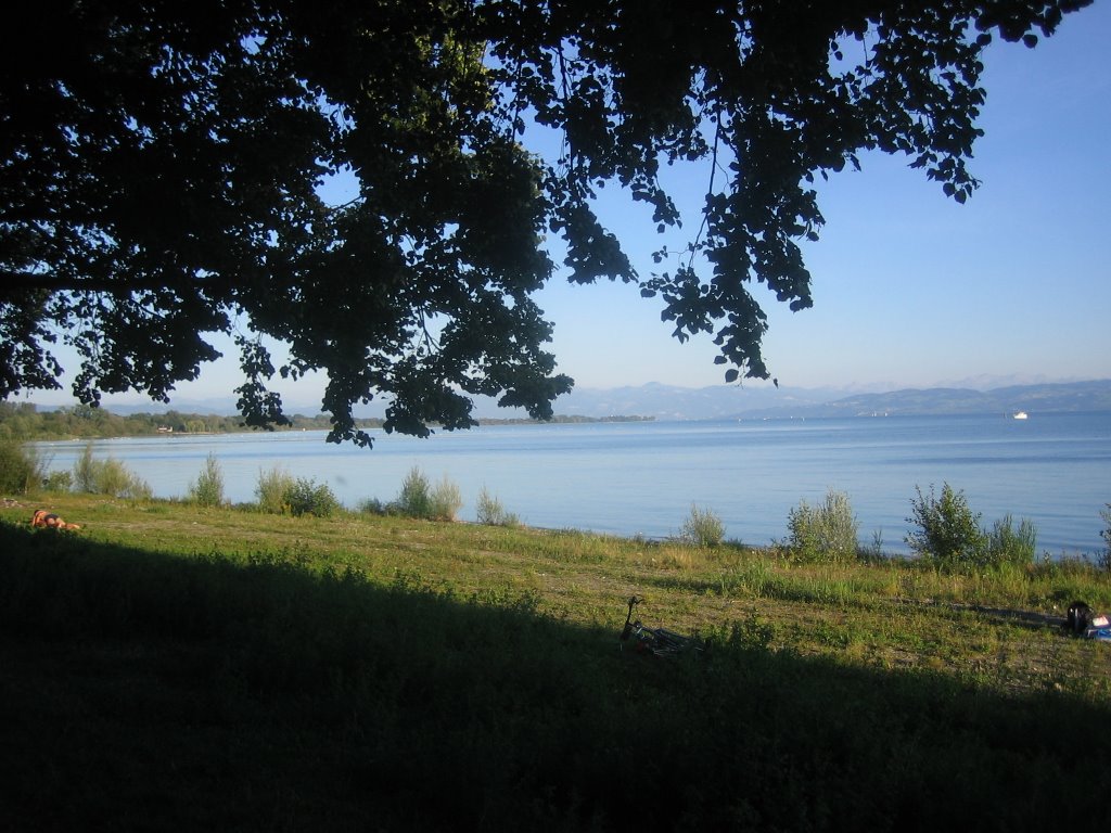 FRIEDRICHSHAFEN -LAGO CONSTANZA - Alemania