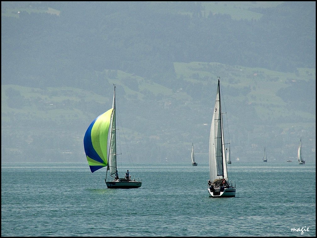 Regaty (i żeglowanie) na Jeziorze Bodeńskim/Regatta (and sailing) on the Constance Lake