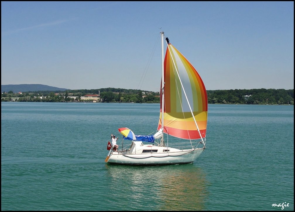 Arbon