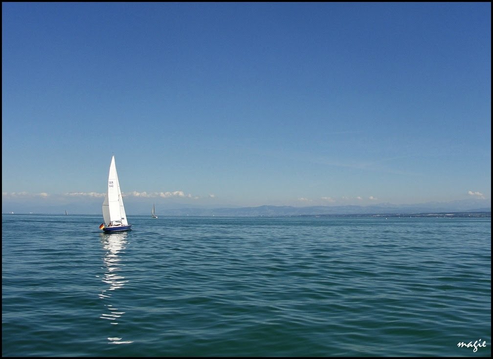 Regaty (i żeglowanie) na Jeziorze Bodeńskim/Regatta (and sailing) on the Constance Lake