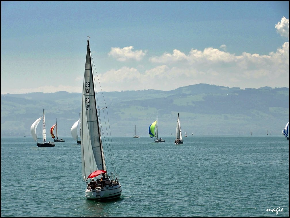 Regaty (i żeglowanie) na Jeziorze Bodeńskim/Regatta (and sailing) on the Constance Lake