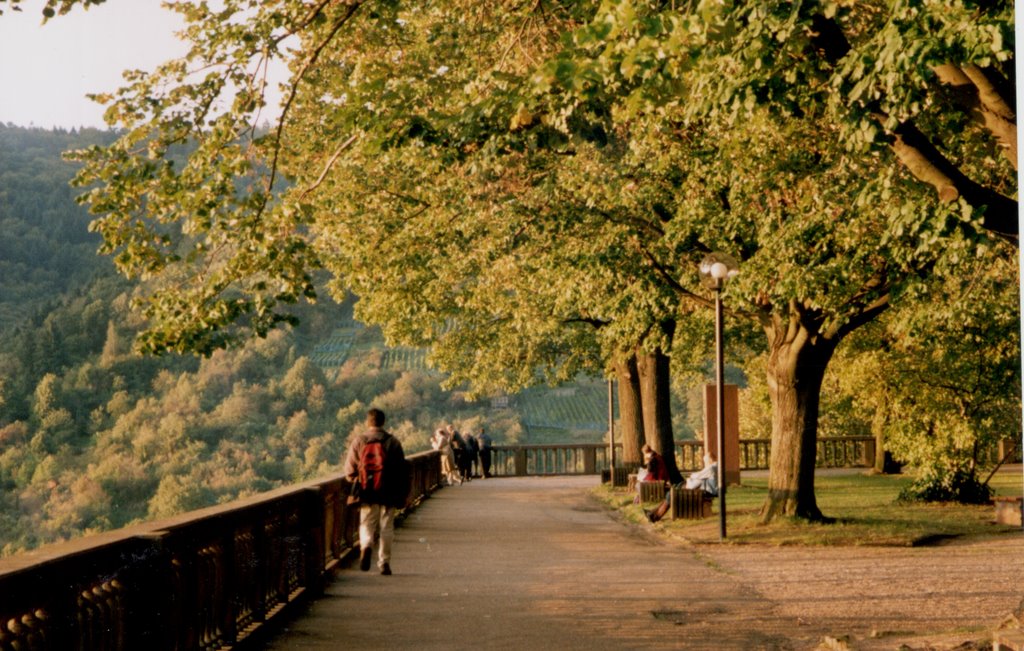 Heidelberg (near the castle), Germany.,