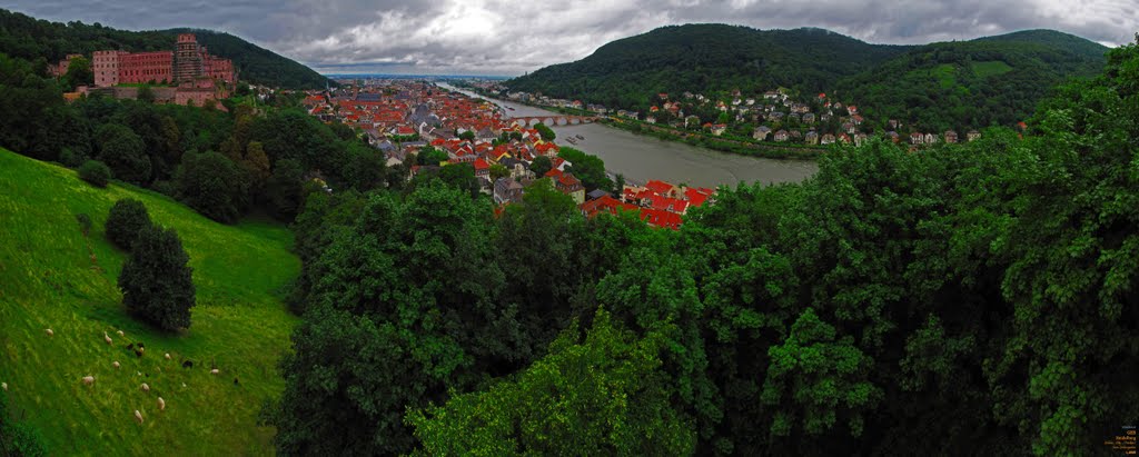 GER Heidelberg Schloss - City - [Neckar] from Schlossgarten in the rain Panorama by KWOT