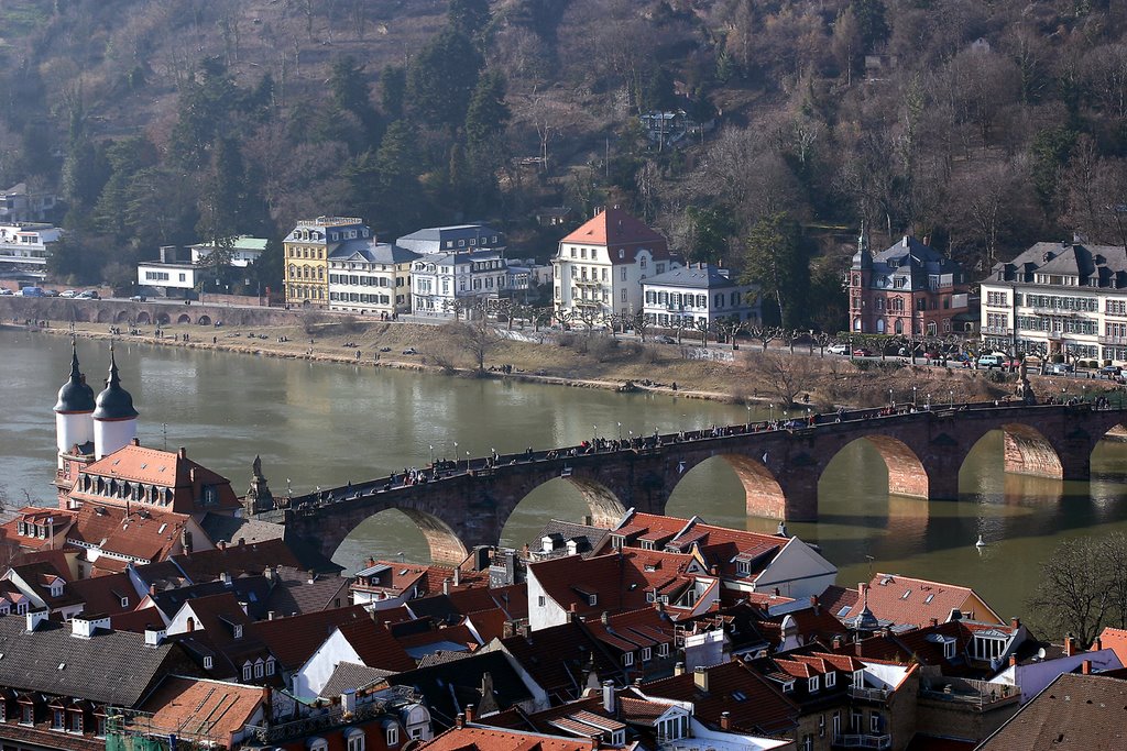 Heidelberg von Oben