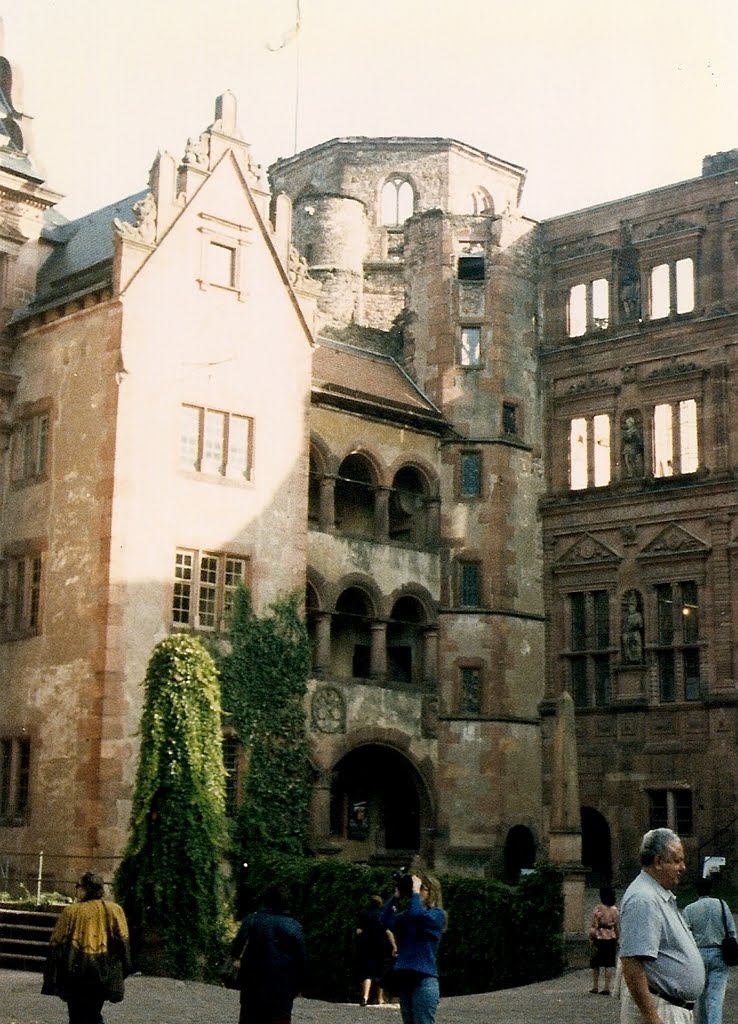 Heidelberg valle del rio Neckar