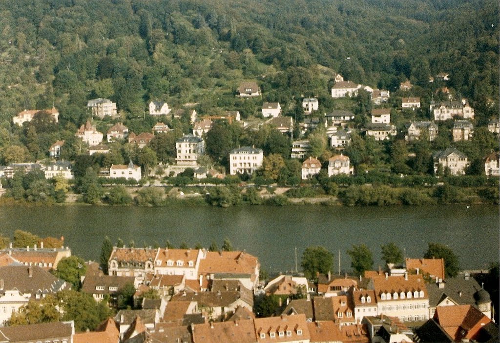 Panoramica del Rio Neckar