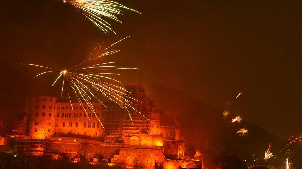 silvester 2011 heidelberg schlossgarten