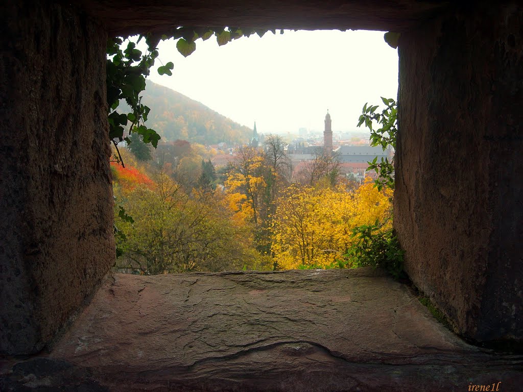 Μια κλεφτή ματια...(One pic...) - Heidelberg
