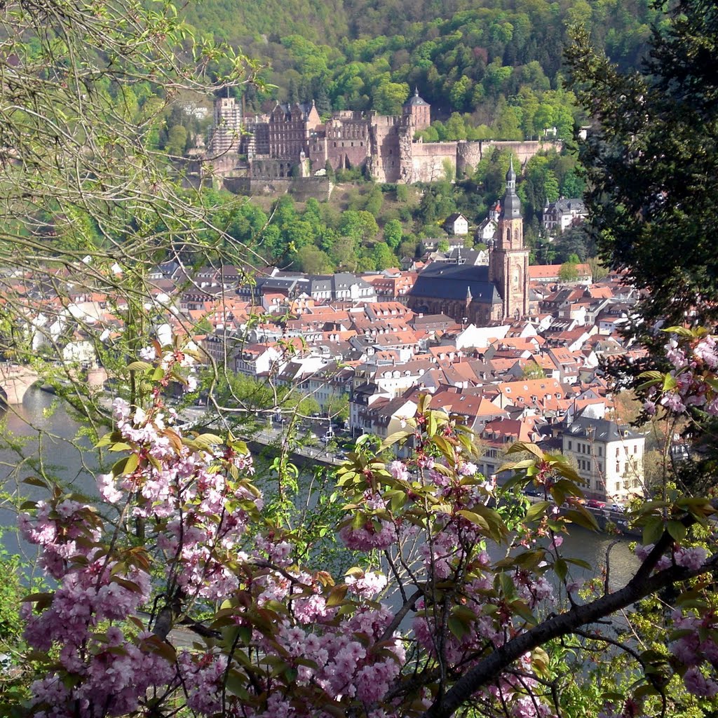 Spring / Frühjahr / Printemps (11)