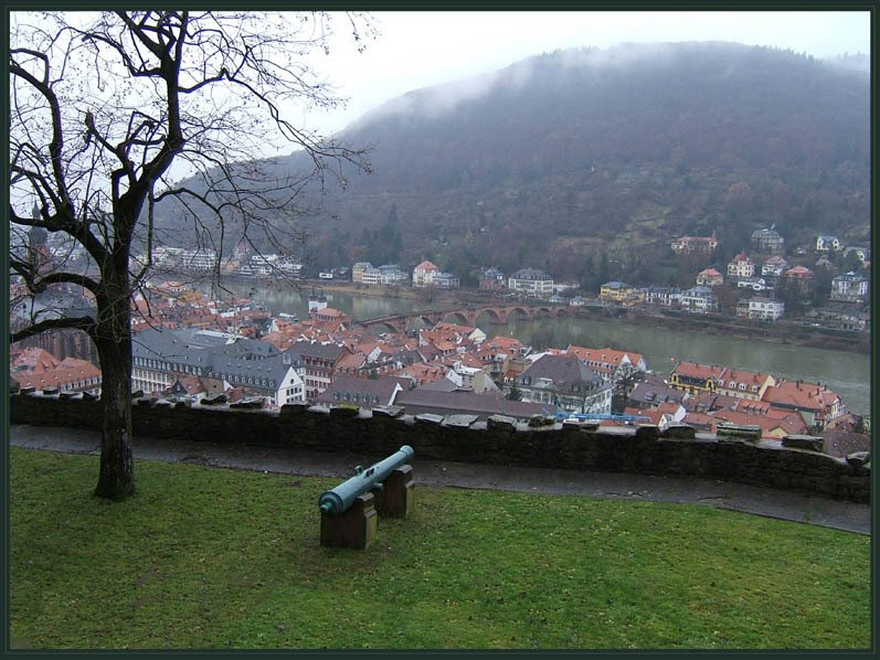 Heidelberg3