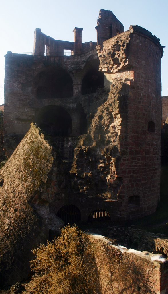 Schlossruine Heidelberg