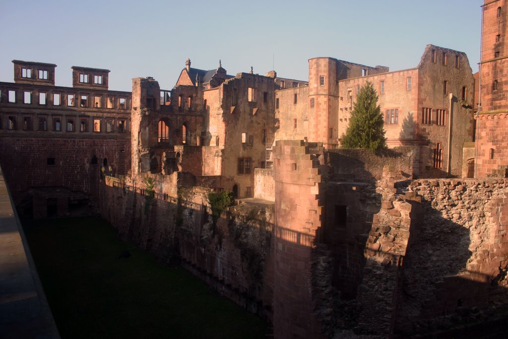 Schlossruine Heidelberg