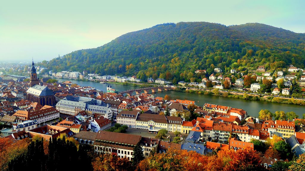 Vistas de Heidelberg desde el castillo (dedicada a "mackedwars" Eduardo)