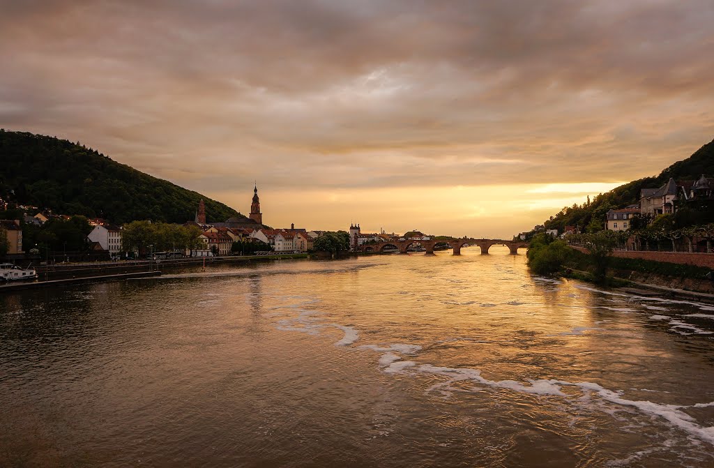 Heidelberg 2013