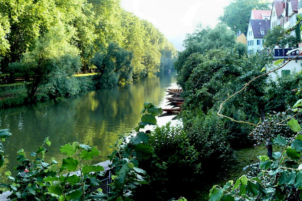 Grünes Tübingen