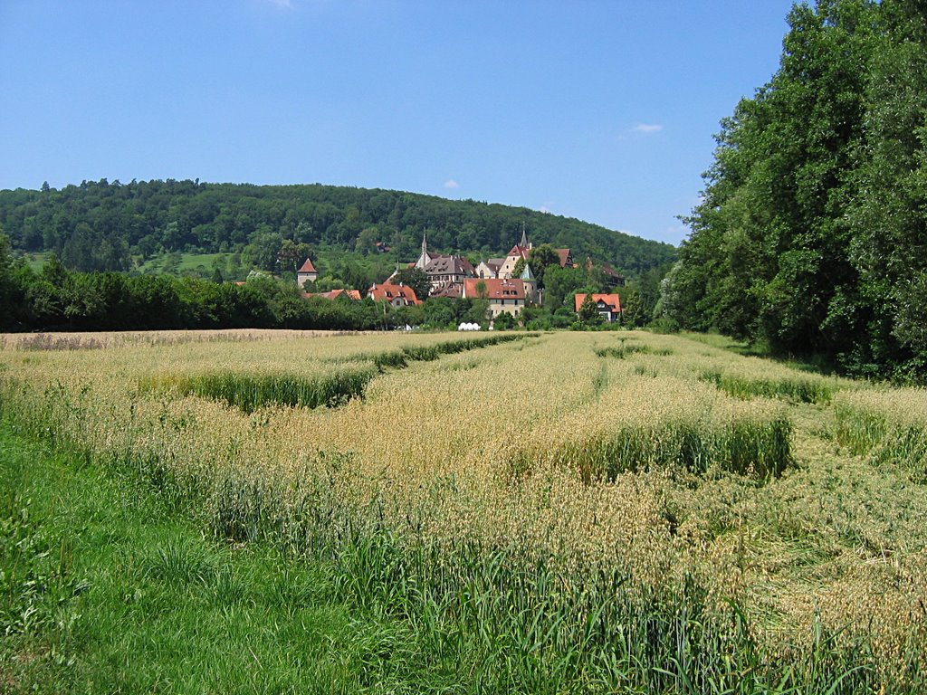 Bebenhausen: Sicht auf Bebenhausen über die Felder