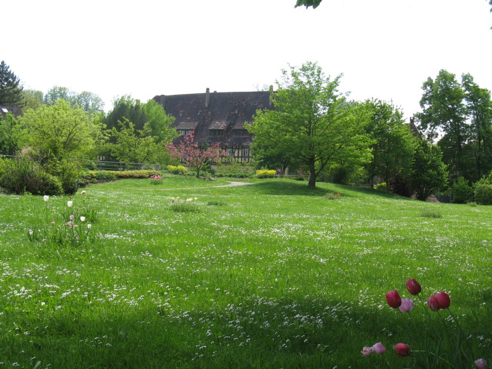Sankt Katharina
