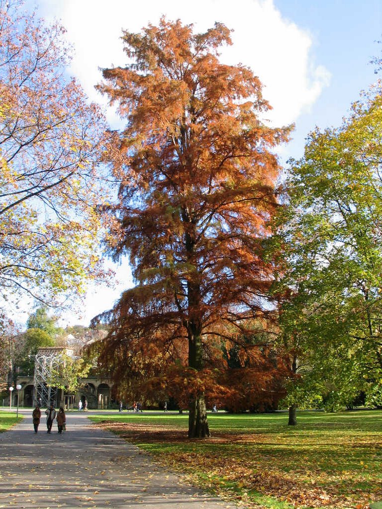 S21-Park ●(120°)