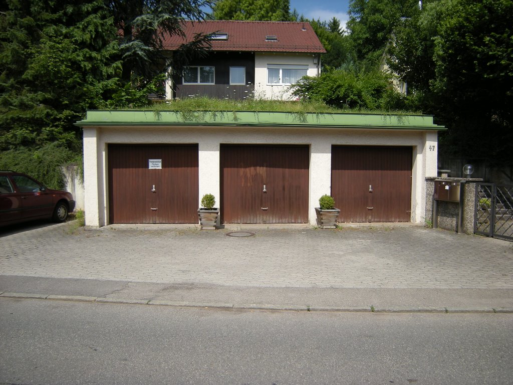begrünt und braun