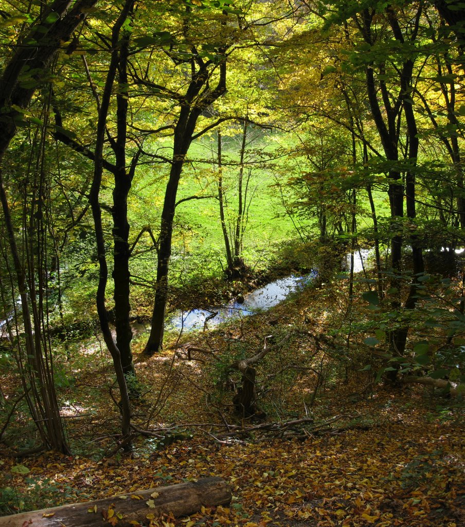 Blick vom Hauffsweg auf den Goldersbach