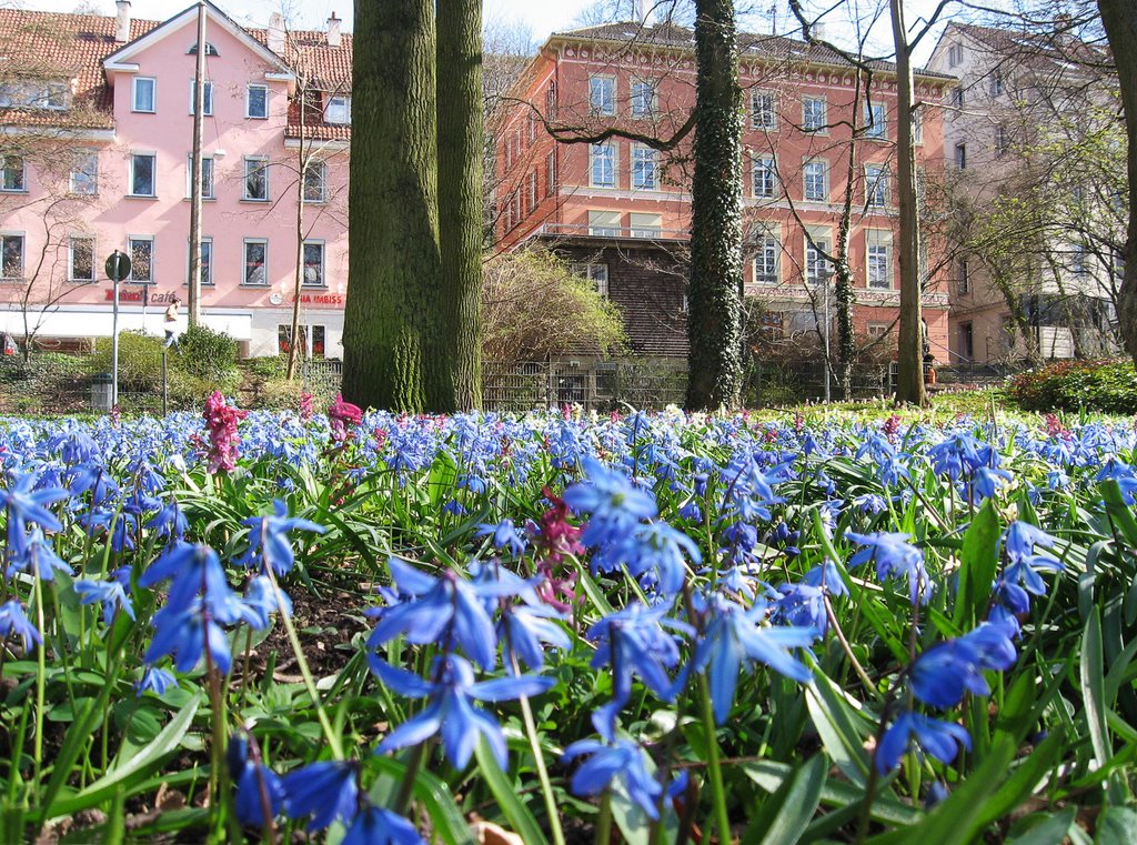 Alter Botanischer Garten Tübingen