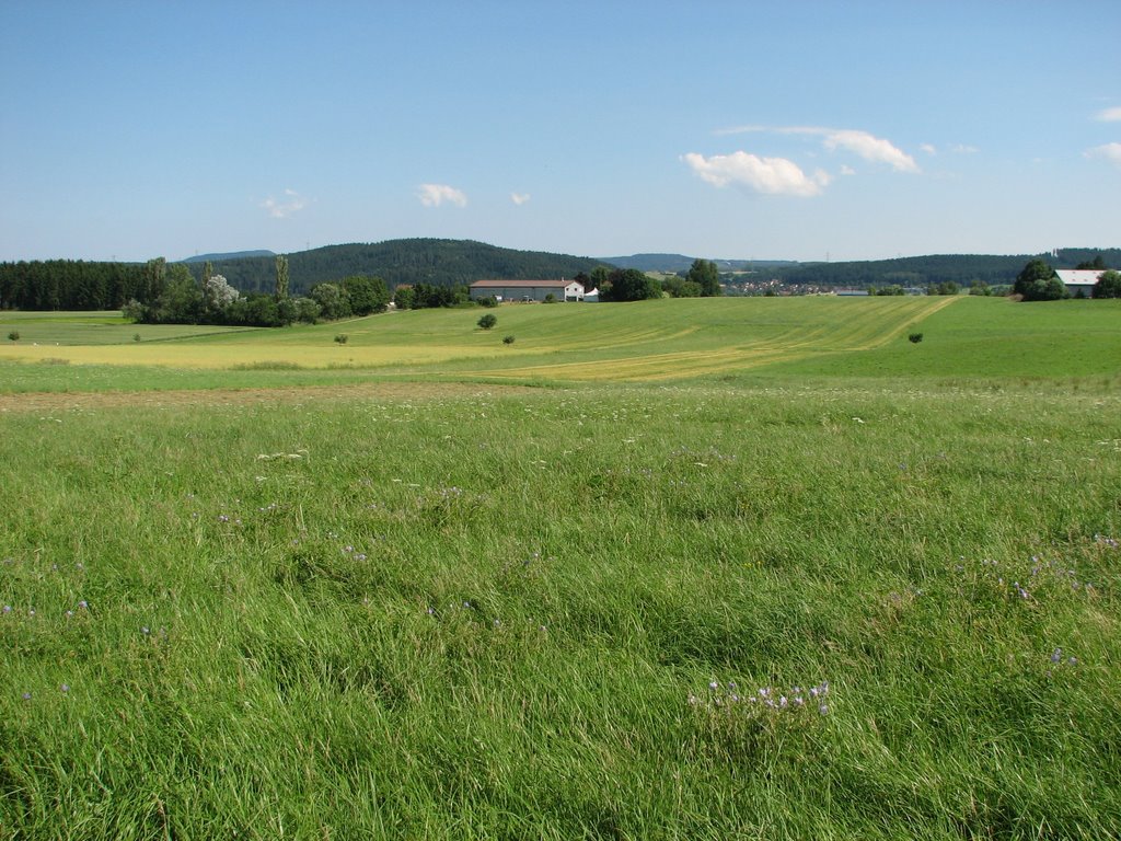 Schwenningen Blick nach osten