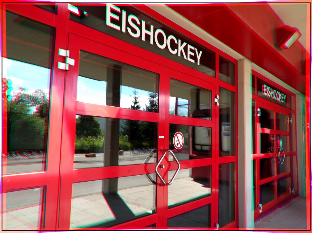 Yeah - Eishockeystadion der Wild Wings