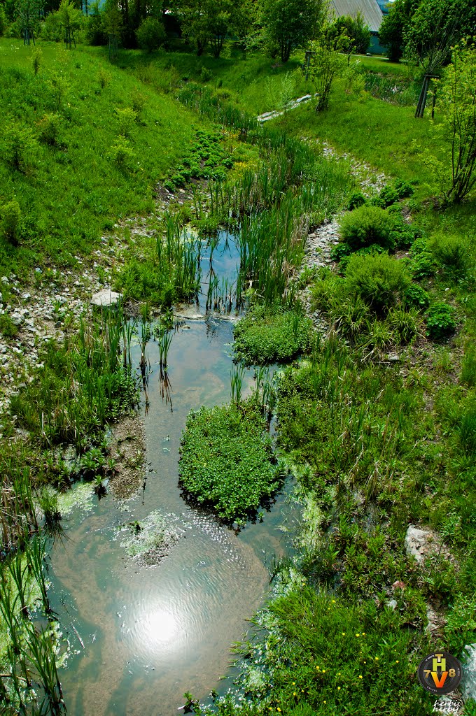 Sonnenspiegel auf der Wasseroberfläche