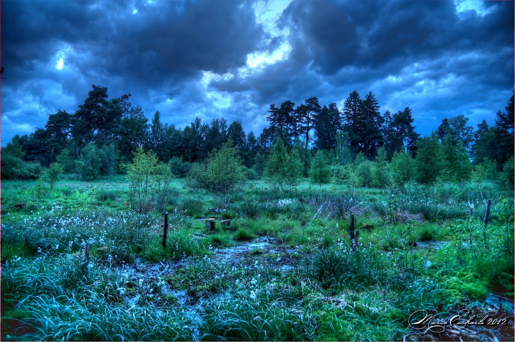 Fremde Landschaft