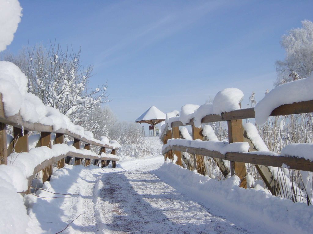 " im Winter "