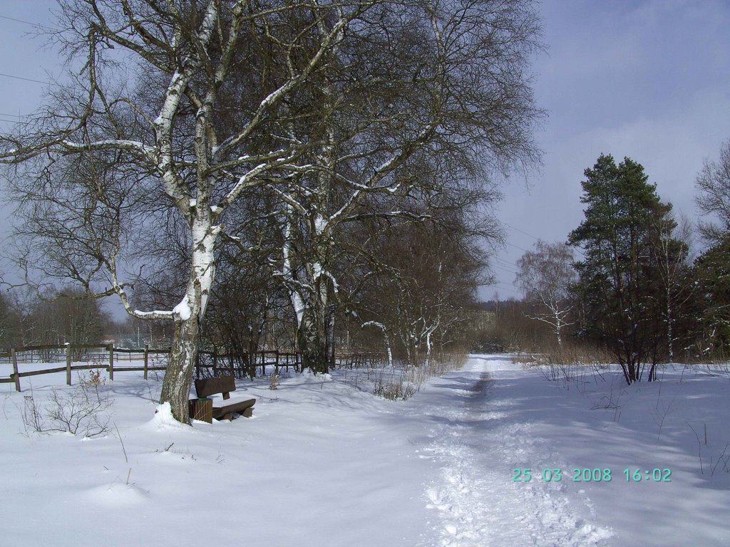 " Wintereinbruch "