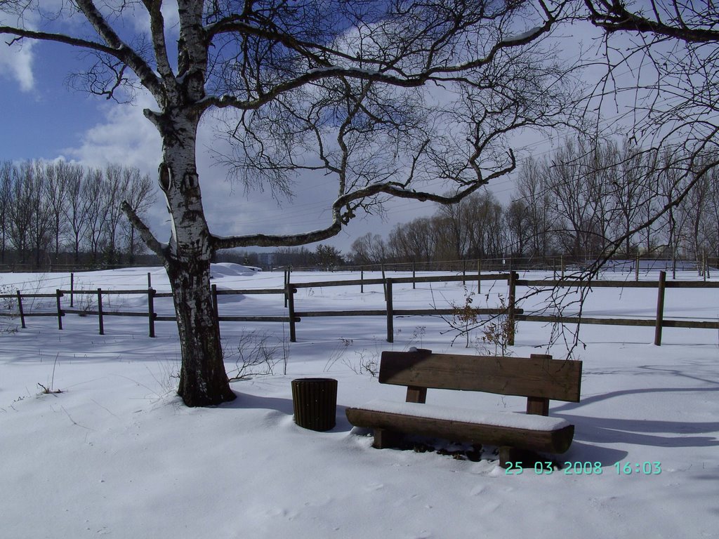 " Wintereinbruch "