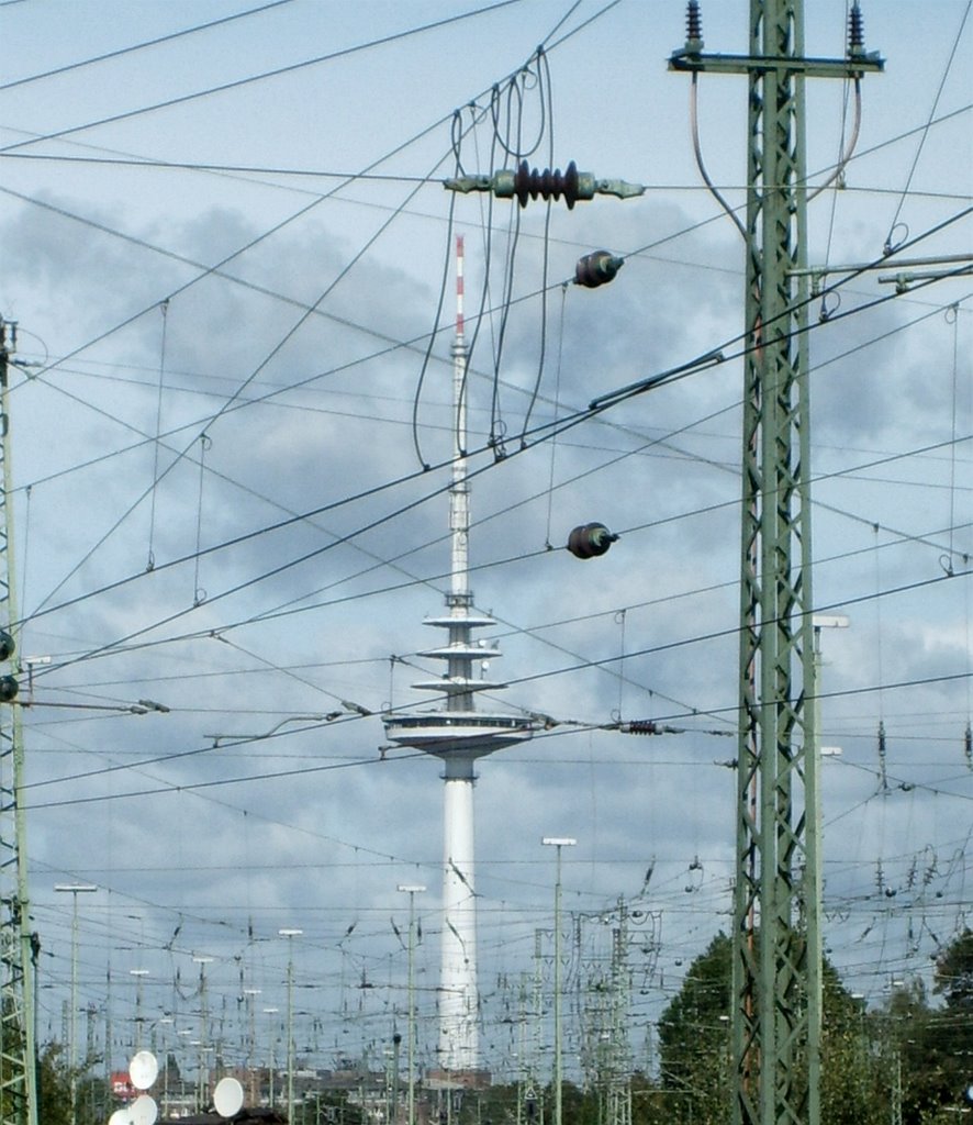 Gefangen im Netz , TV-Turm Bremen  /  Caught in the net , TV-Tower Bremen