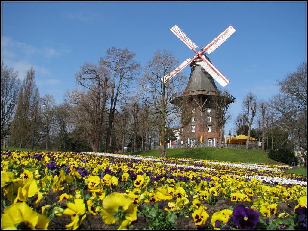 Mühle am Wall