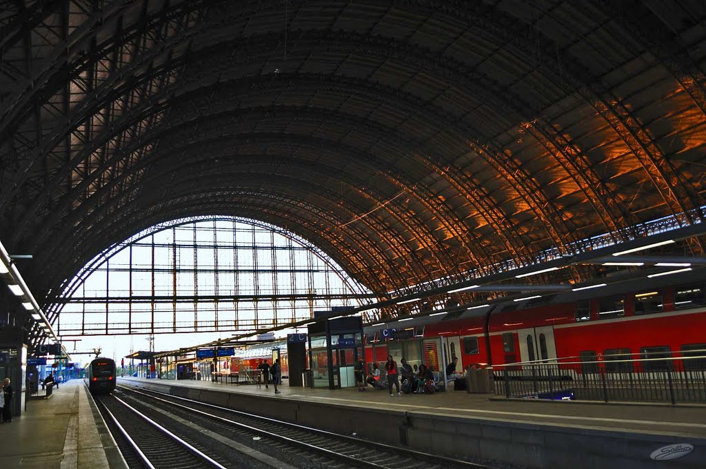 Bremen Hauptbahnhof - Halle - (C) by Salinos_de HB