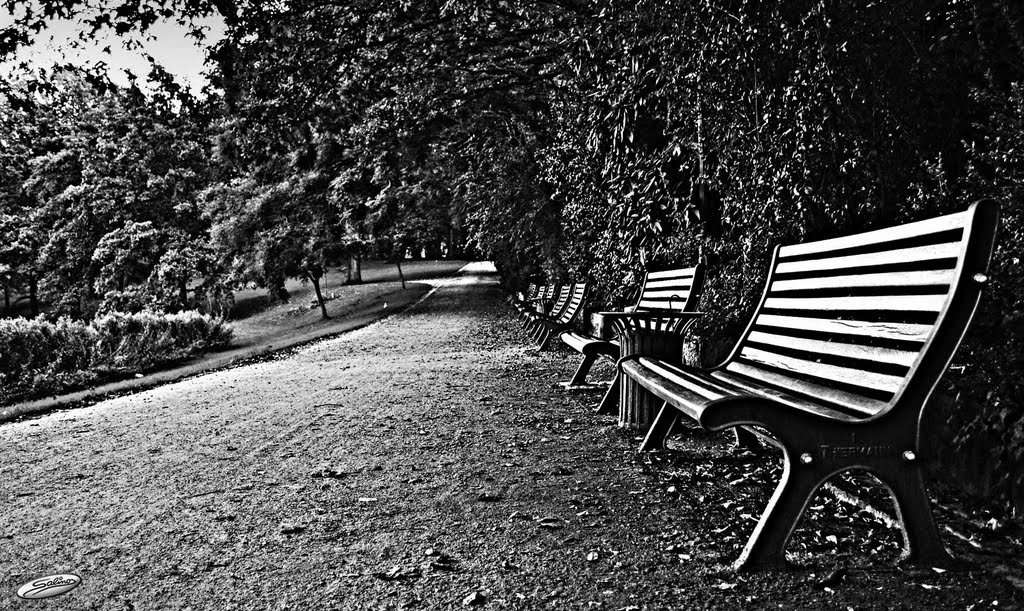 Have a rest – Bremen Wallanlagen - (C) by Salinos_de HB