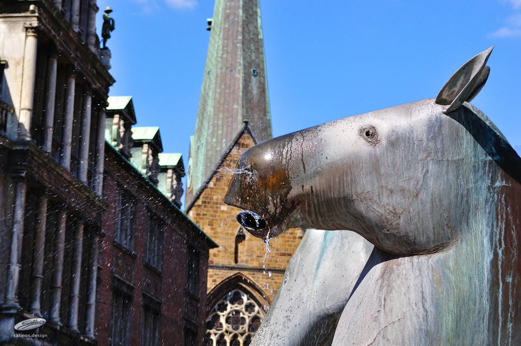 Neptunbrunnen am Domshof, Bremen - (C) by Salinos_de HB