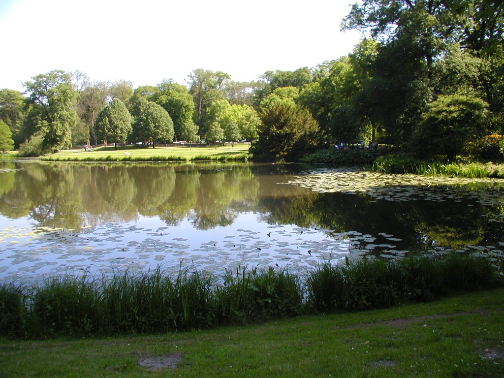 Bürgerpark im Mai