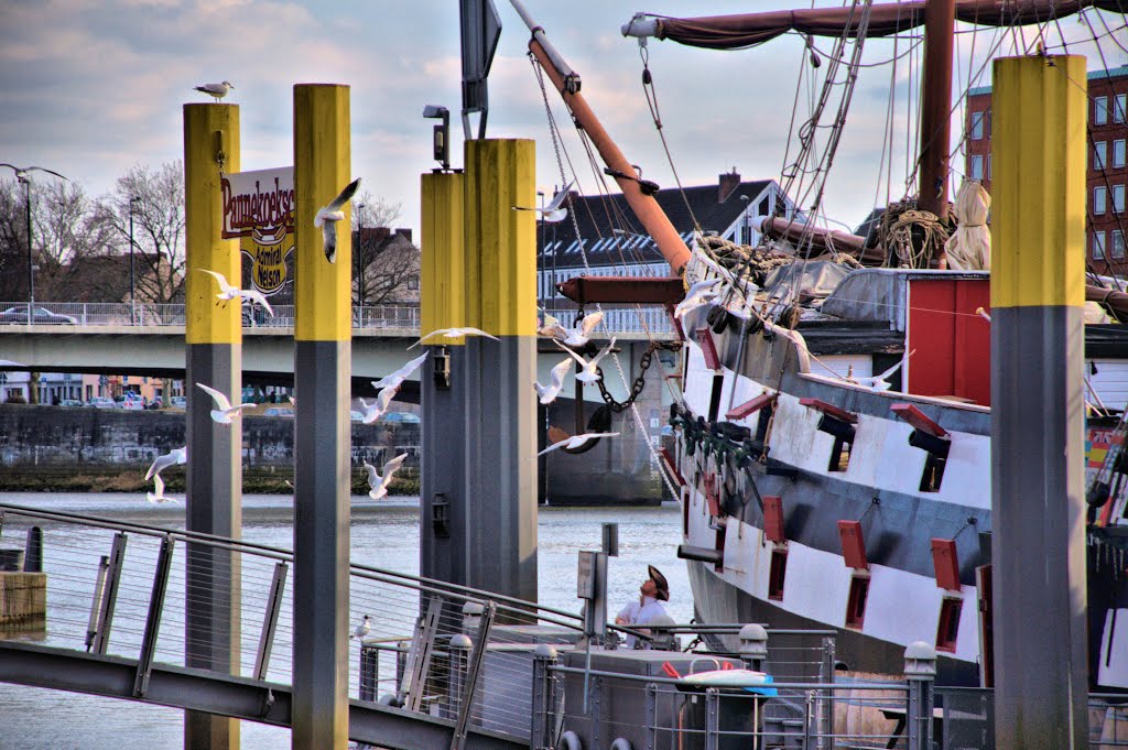 Mit Kanonen auf (Spatzen)Möwen schiessen - please enlarge