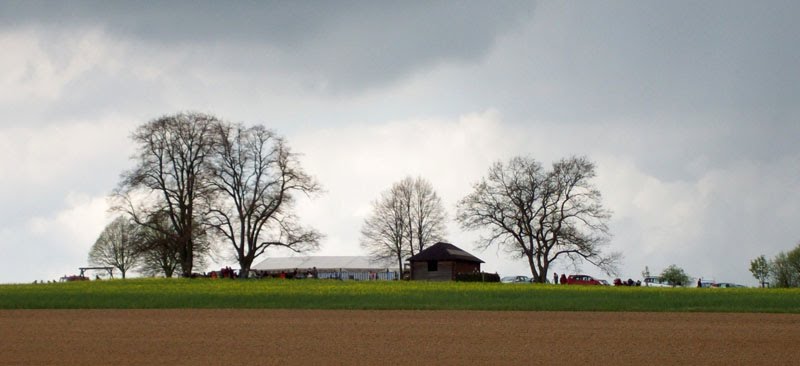 Die "drei Linden" am 1.Mai.