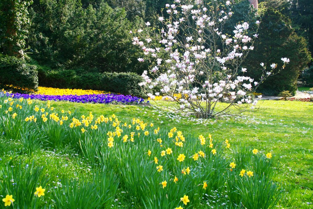Kurpark Wiesbaden