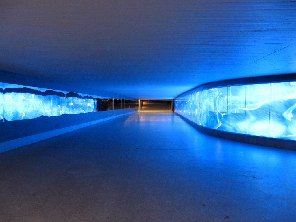 blue underground - auf dem Weg zum HBF Wiesbaden