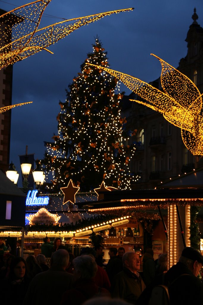 Wiesbadener Weihnachtsbaum !