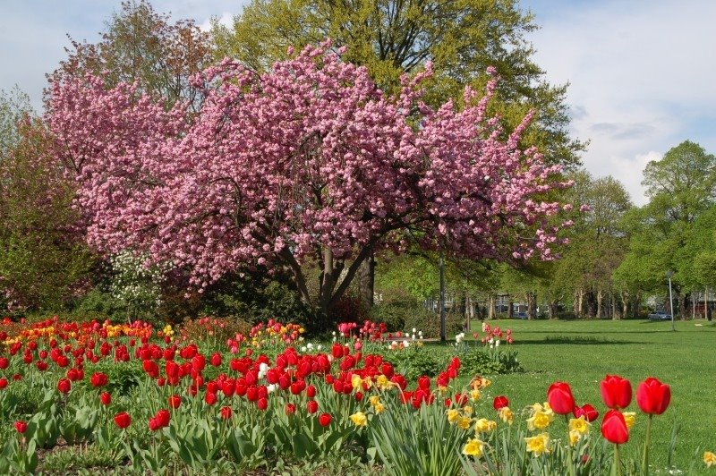 Wiesbaden im Park