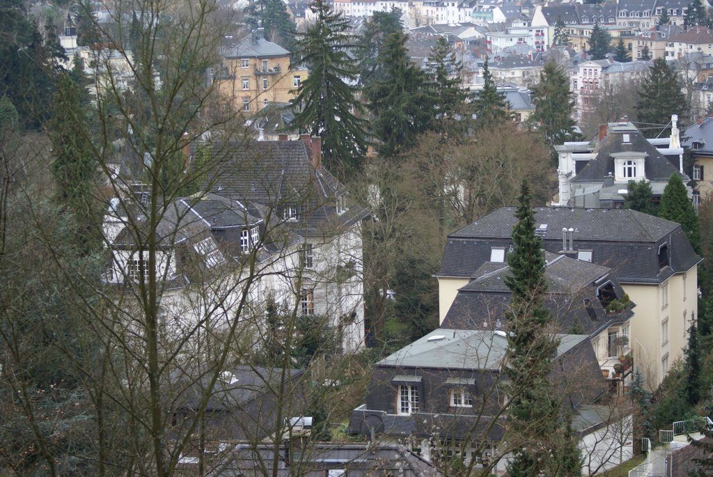 Wiesbaden, Neroberg villas