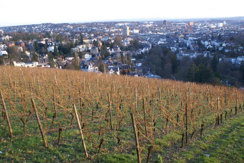 Wiesbaden Overview