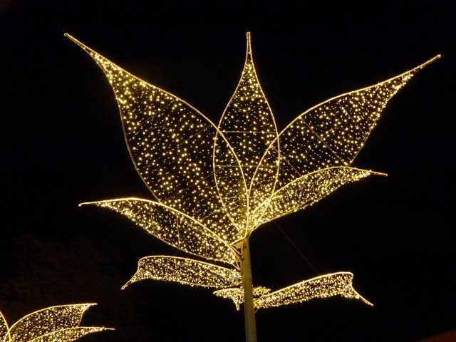 Detail of the lights at our christmas market